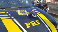 PRF prende homem por porte ilegal de arma de fogo