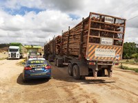 Rosário do Catete/SE: PRF flagra na BR-101 três veículos com excesso de peso