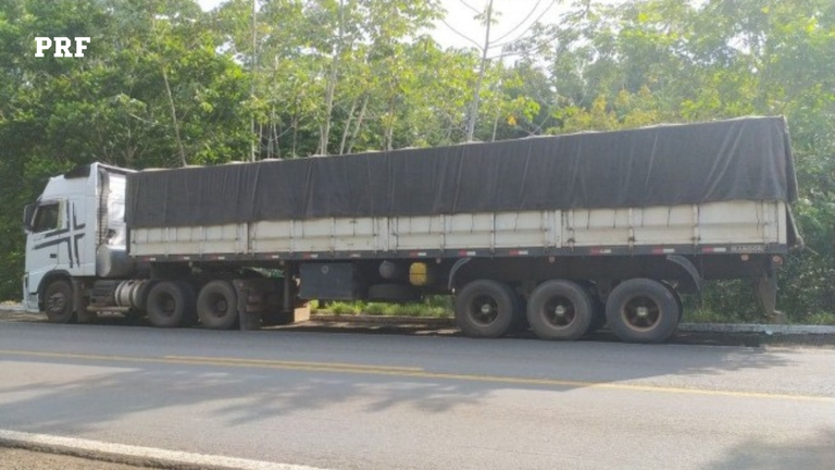 PRF/TO apreendeu mais de 30m³ de madeira transportados ilegalmente