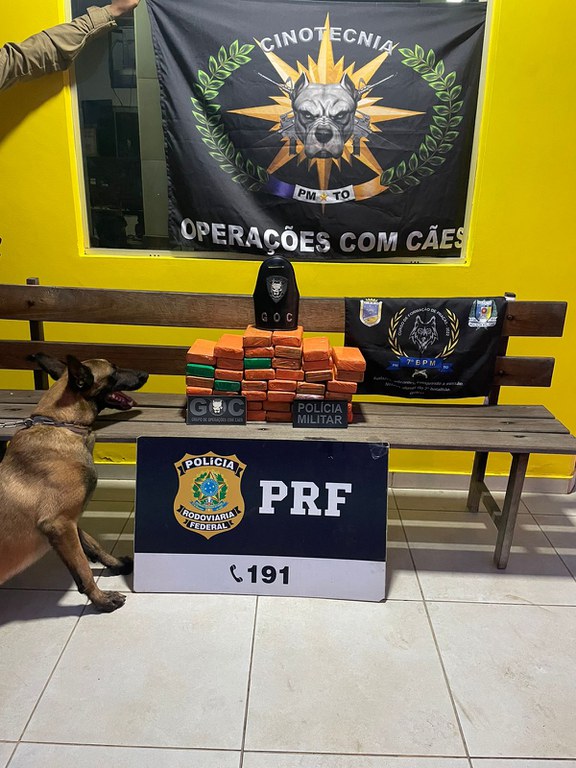 19kg de substância análoga à maconha foram apreendidos em Guaraí/TO