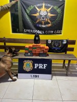 19kg de substância análoga à maconha foram apreendidos em Guaraí/TO