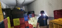 PRF apreende duas toneladas de queijo transportadas ilegalmente em Gurupi/TO