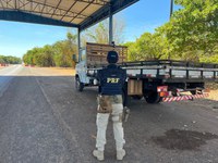 PRF apreende 3 veículos com registro de furto no Tocantins
