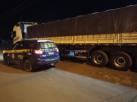 PRF apreende cerca de 24m³ transportados ilegalmente em Palmeiras do Tocantins/TO