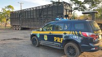 PRF apreende veículo com os sinais identificadores adulterados