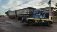 PRF apreende 150m³ de produto perigoso sendo transportados ilegalmente