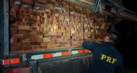 PRF apreende 27,21m³ de madeira sendo transportados ilegalmente