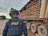 PRF apreende madeira ilegal no Tocantins