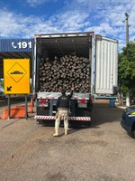 PRF apreende madeiras transportadas ilegalmente no Tocantins