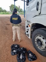 PRF apreende 4,6kg de cocaína transportados em conjunto veicular em Paraíso do Tocantins/TO