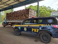 PRF apreende cerca de 20m³ de madeira transportados ilegalmente em Palmeiras do Tocantins/TO