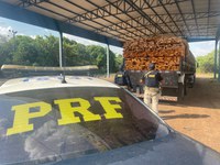 PRF apreende 24,7m³ de madeira nativa transportados ilegalmente em Palmeiras do Tocantins/TO