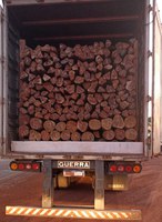 PRF apreende 43m³ de madeira transportados ilegalmente em Luzinópolis