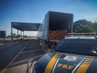 PRF apreende cerca de 64 m³ de madeira transportados ilegalmente em Gurupi/TO
