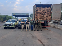PRF apreende cerca de 82m³ de madeira transportados ilegalmente no Tocantins