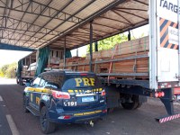 PRF apreende carga de madeira transportada ilegalmente em Palmeiras do Tocantins/TO