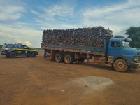 PRF apreende 27 m³ de madeira nativa transportados ilegalmente em Guaraí/TO