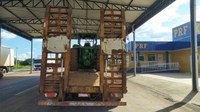 PRF apreende veículo adulterado em Araguaína/TO