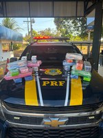 PRF apreende 29,4 kg de maconha transportados em ônibus rodoviário em Guaraí/TO