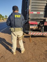 PRF flagra caminhão com placa de identificação ocultada por fezes de gado em Figueirópolis/TO