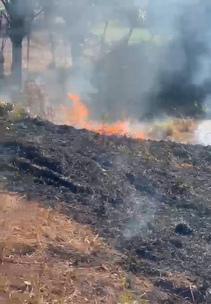 PRF prende responsáveis por provocar incêndio em mata às margens da BR 153