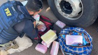 Em Guaraí/TO, PRF apreende 18,2 kg de substância análoga ao skunk em ônibus rodoviário