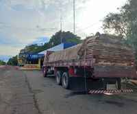 PRF apreende carregamento de madeira nativa com irregularidades.
