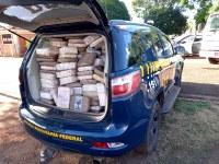 PRF apreende mais de 430kg de maconha e 11,2kg de cocaína  em Nova Olinda/TO