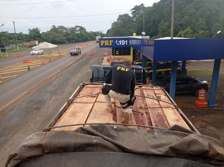 PRF apreende mais uma carga de madeira proveniente de transporte irregular no Tocantins