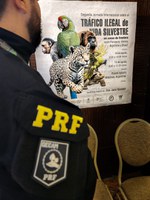 Polícia Rodoviária Federal Participa da II Jornada Internacional Sobre Tráfico Ilegal de Animais Silvestres