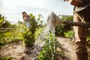 Pátria Voluntária contribui para fortalecimento dos pequenos agricultores