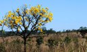 Programa alia sustentabilidade e produção agropecuária