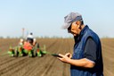 Governo quer aumentar conectividade no campo