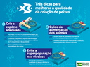 Conheça medidas para assegurar qualidade na produção de peixes