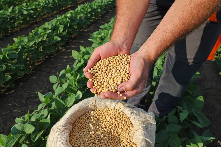 Selo Biocombustível Social promove a inclusão e capacitação técnica de agricultores familiares