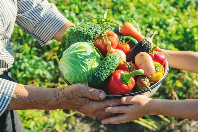 Crédito Do Bndes Para Agricultura Familiar Aumenta 277 No Norte E Nordeste 3601