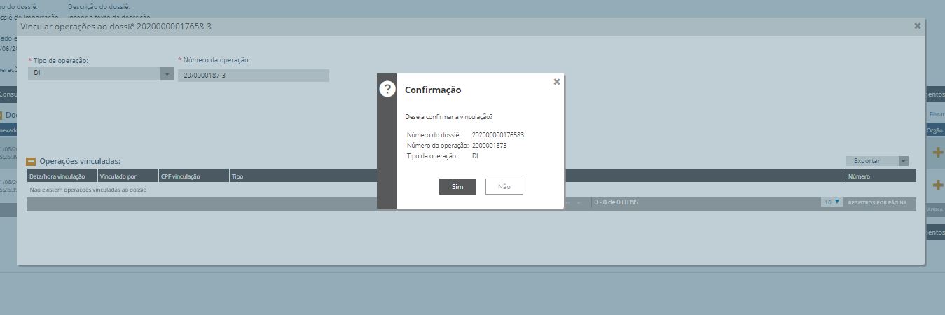 tela 20  confirmação da Vinculação do dossiê a DI