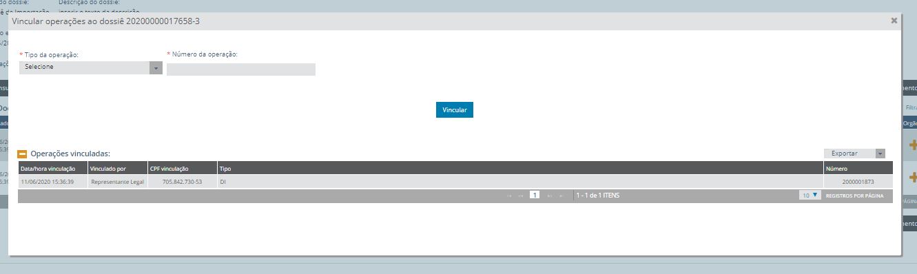 tela 21 tela após Vinculação do dossiê a DI
