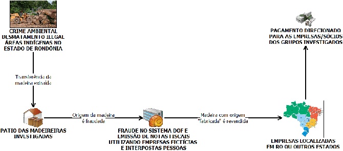 infográfico.jpg