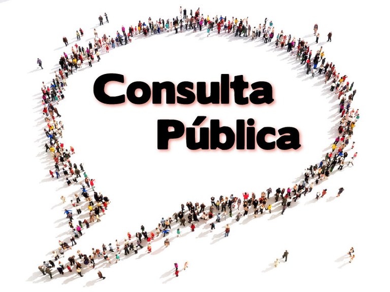 Consulta Publica2.jpg