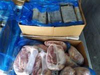 Receita Federal em Santos apreende 192 kg de cocaína em carga de carne congelada