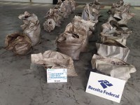 Alfândega de Santos apreende 556 kg de cocaína