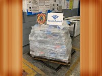 Receita Federal e Polícia Federal apreendem 550 kg de cocaína no porto de Salvador