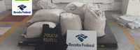 Receita Federal evita que mais de 600 kg de cocaína cheguem à Europa