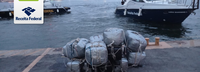 Receita Federal apreende quase 300 kg de cocaína durante operação no porto de Santos