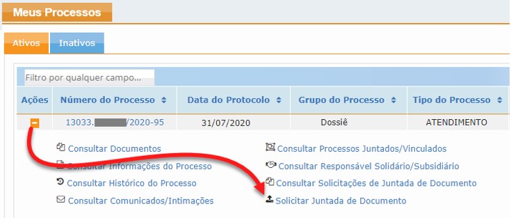 Meus Processos