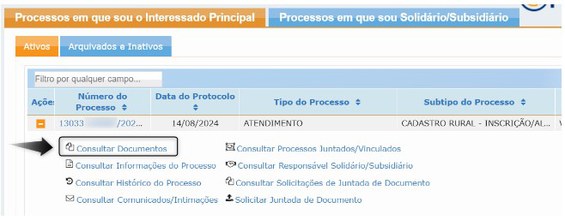 Processo Interessado Principal