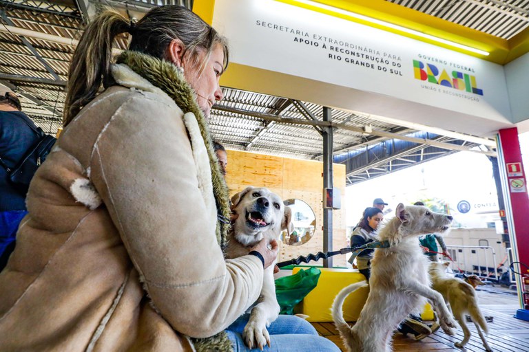 Feira de adoção de animais Expointer