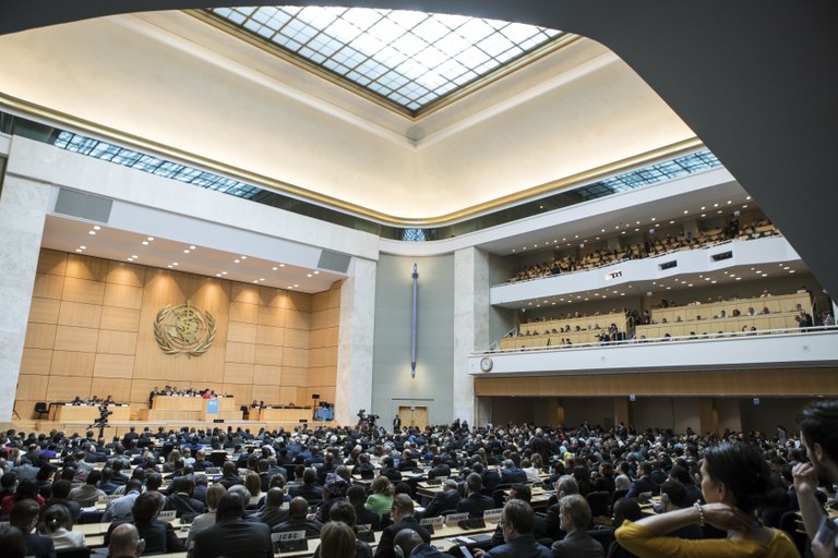 wha70-Asemble.jpg