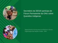 Secretário da SESAI participa de Fórum Permanente da ONU sobre Questões Indígenas